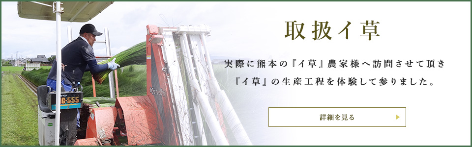 取扱イ草　実際に熊本のイ草農家様へ訪問させて頂きイ草の生産工程を体験して参りました。